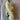 CCS flying line set