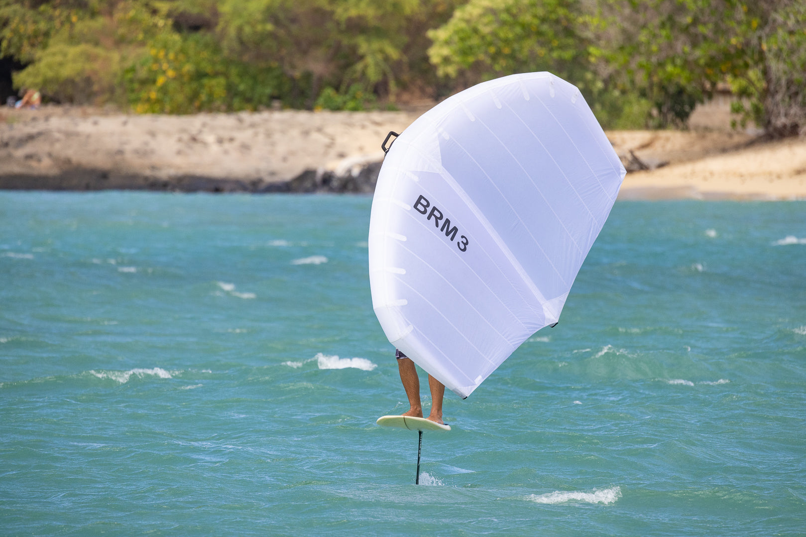 BRM Cloud Wing Size 3