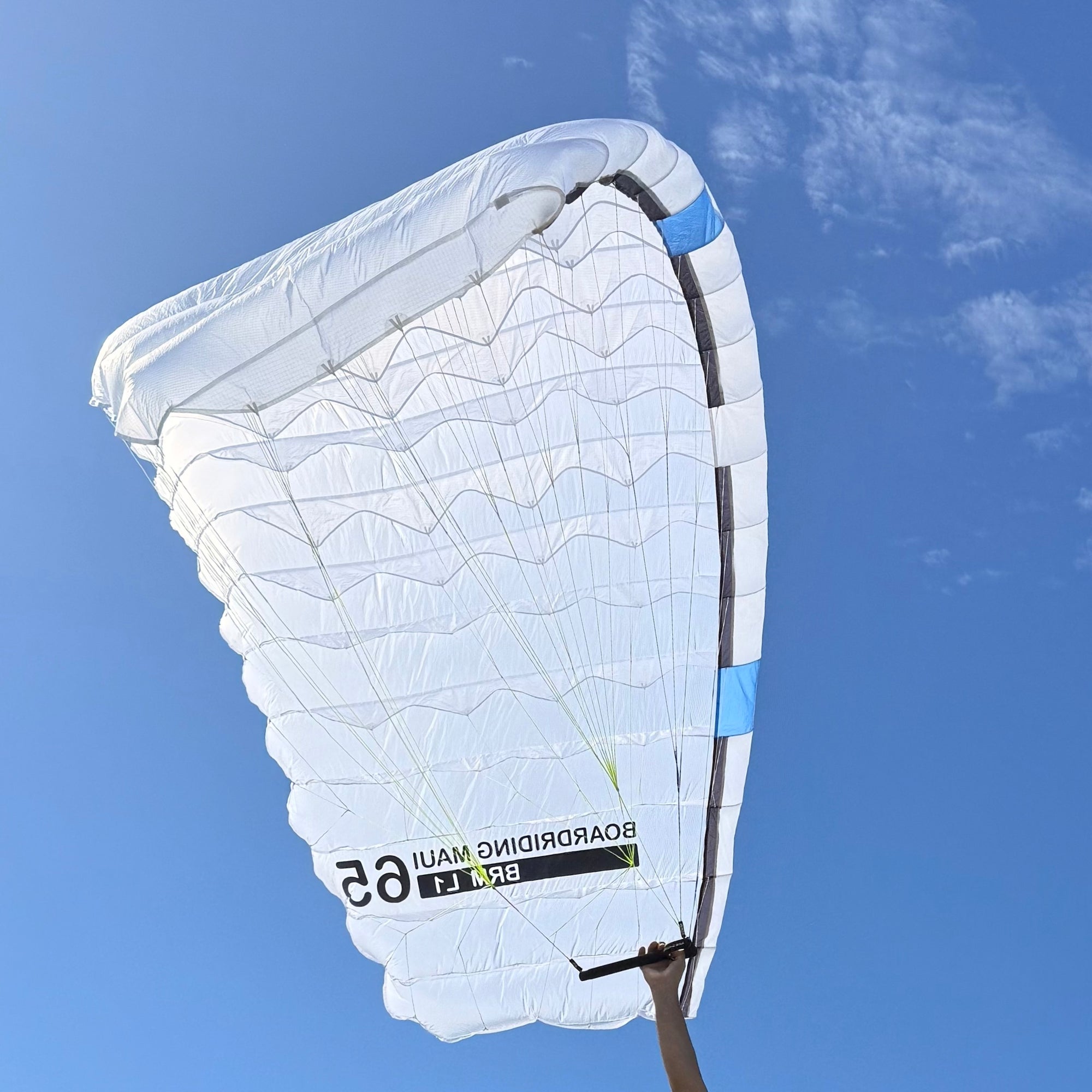 L1 Single Skin Parawing